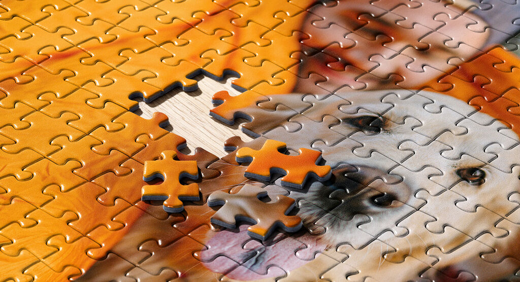 An almost finished puzzle shows a dog and a person together.