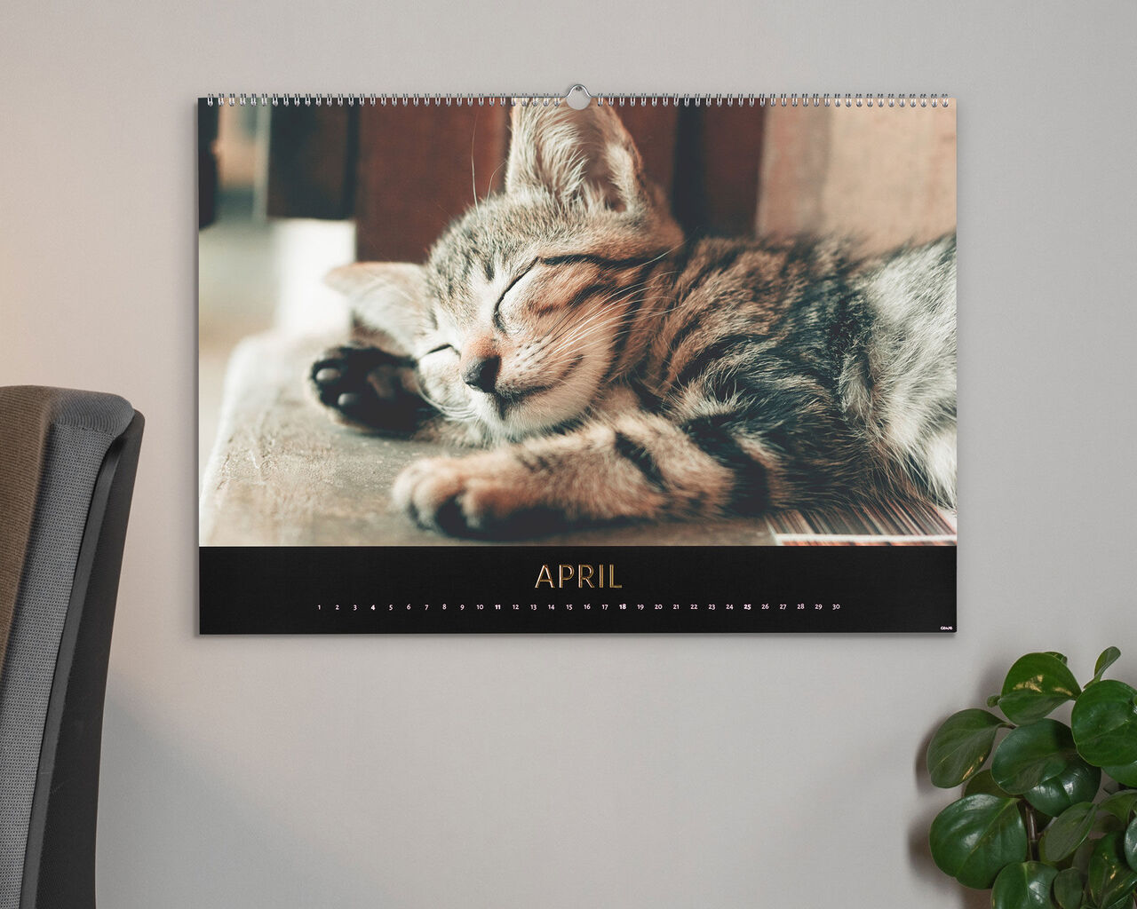Kitten sleeping peacefully on a table in the calendar.