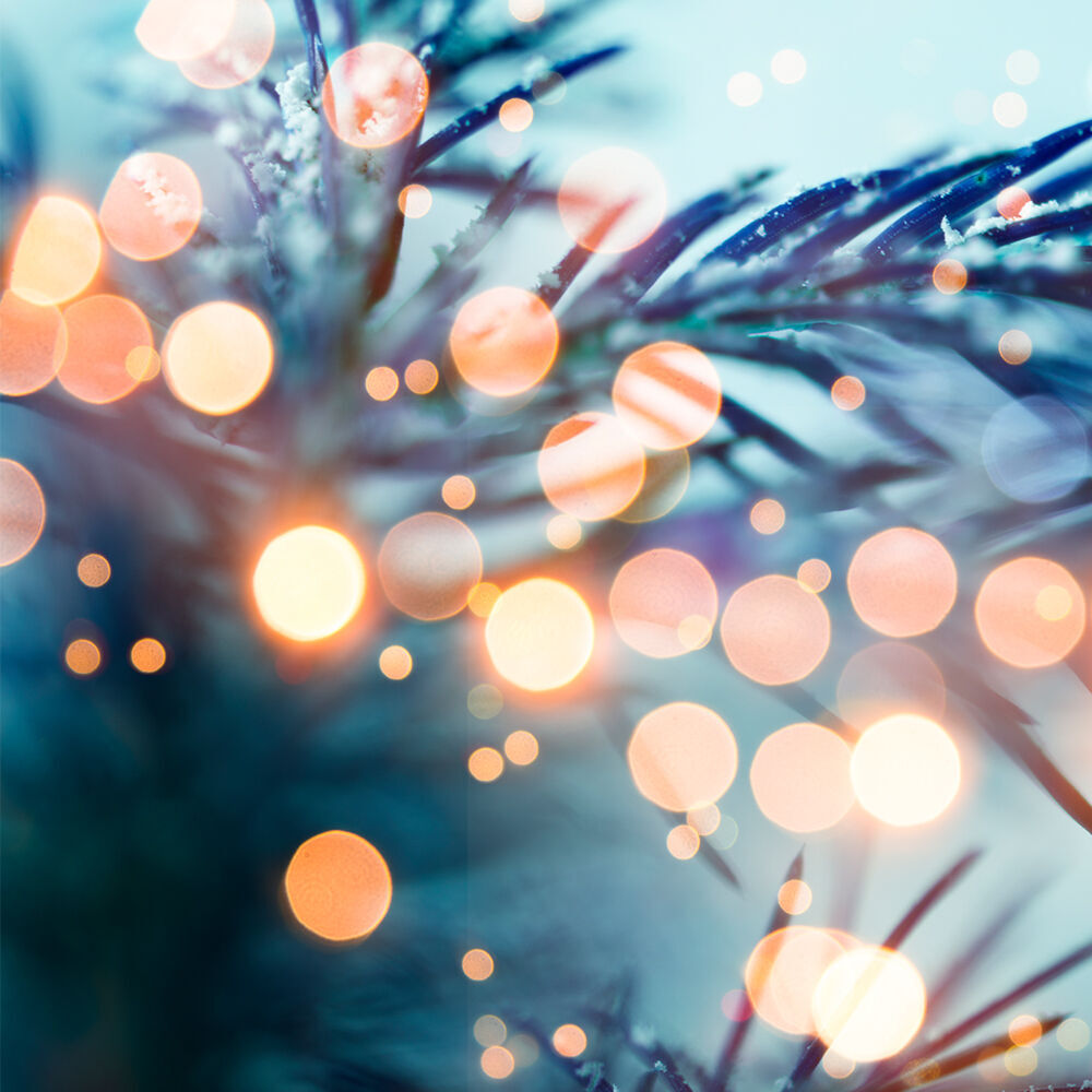 Frosty lights sparkle on green pine branches