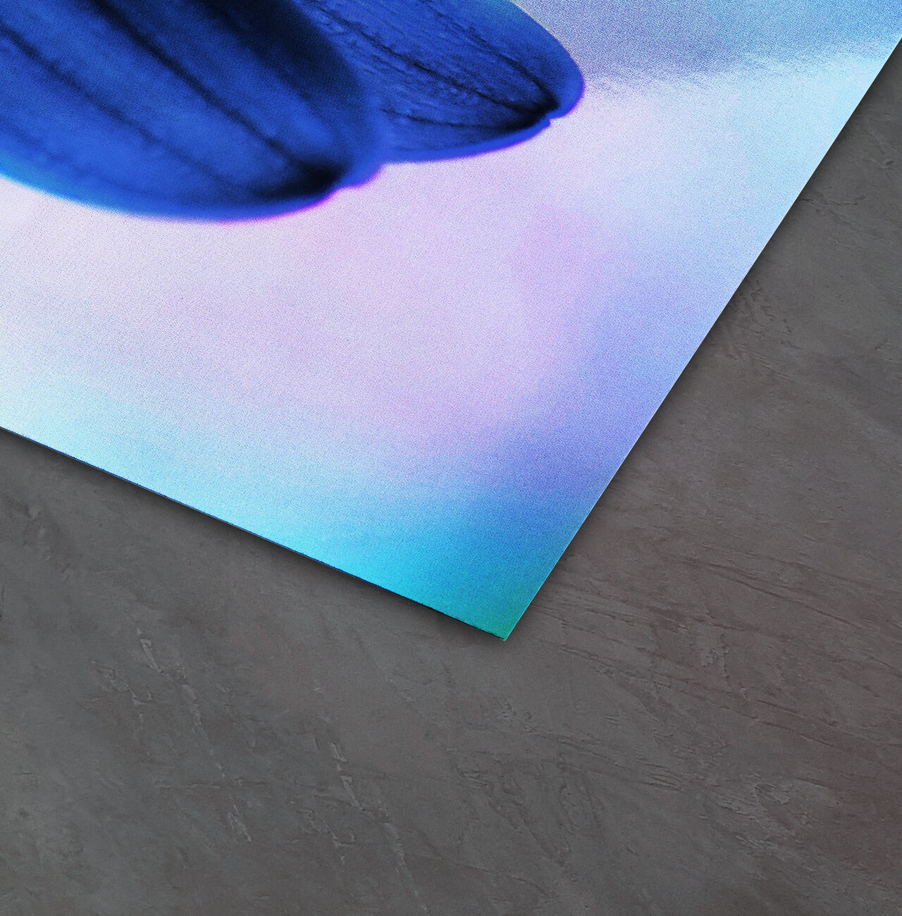 Colorful print of a flower petal on high-quality paper