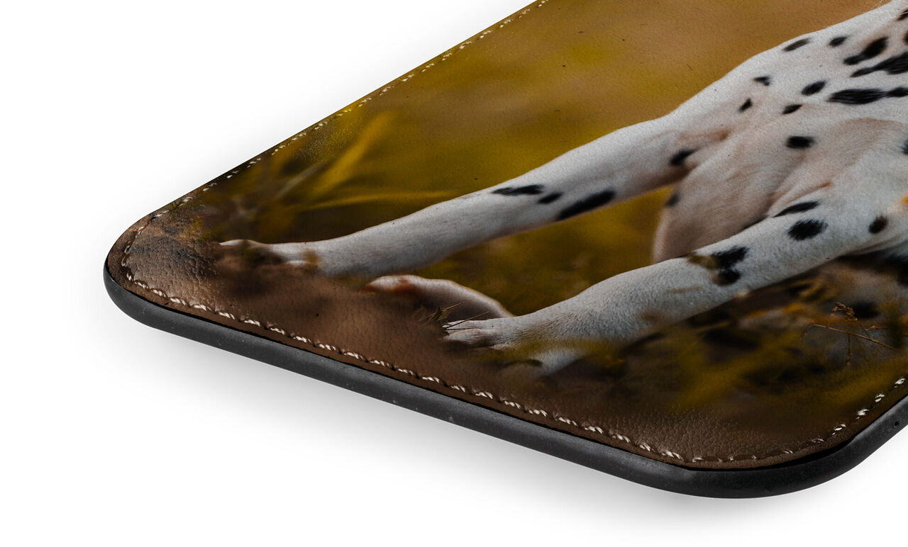 Close-up of a bag with a Dalmatian motif, creatively designed
