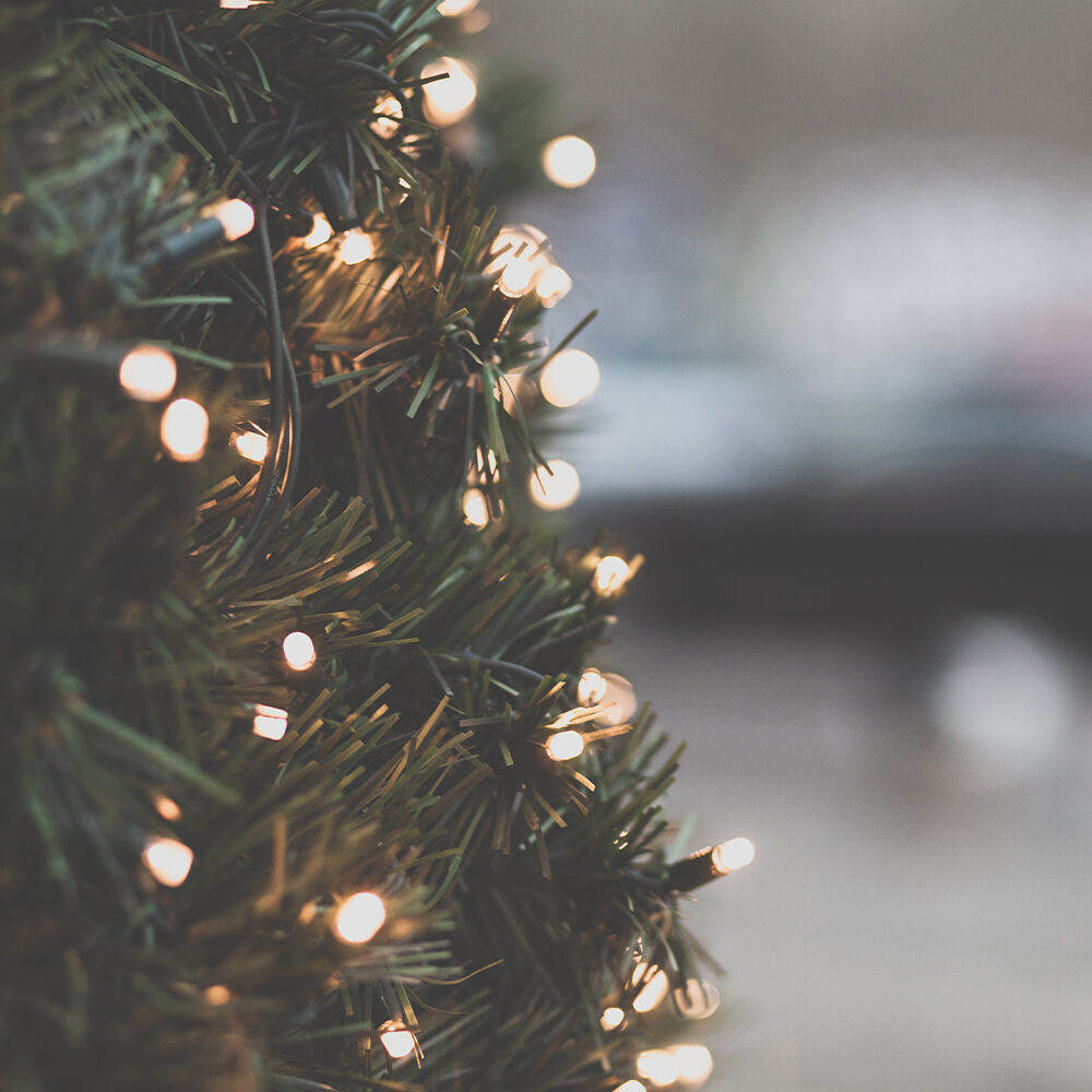 Green Christmas tree with lights that softly glow
