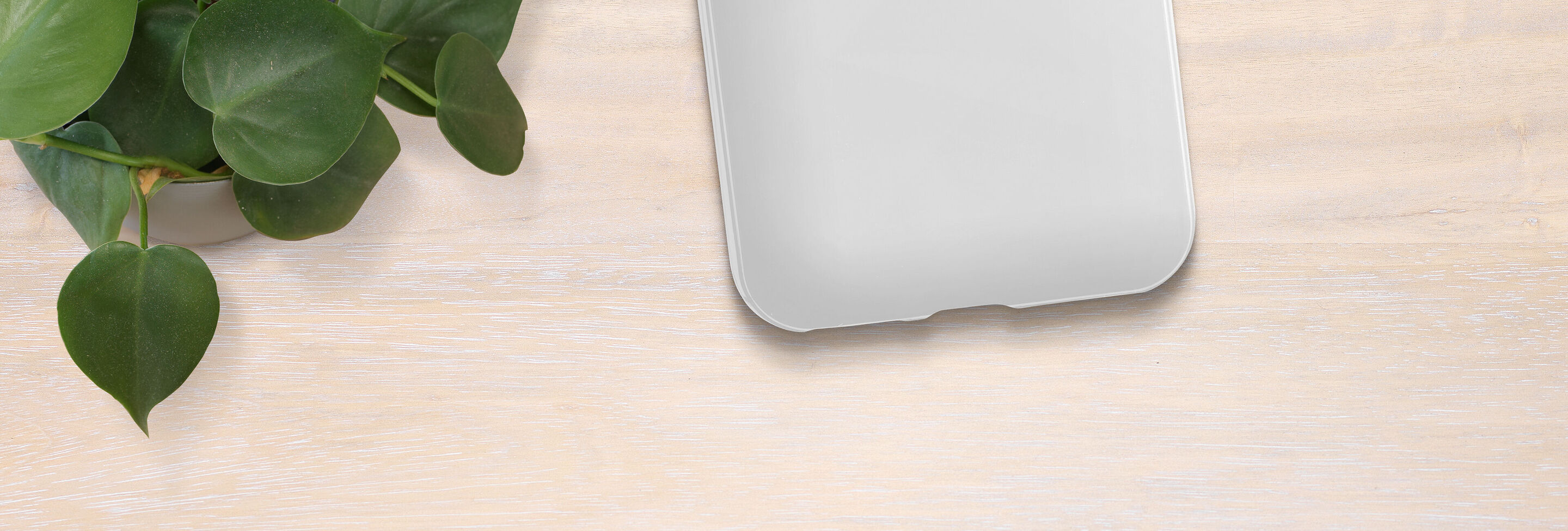 A green plant leaf next to a gray, unlabeled suitcase on a light table.