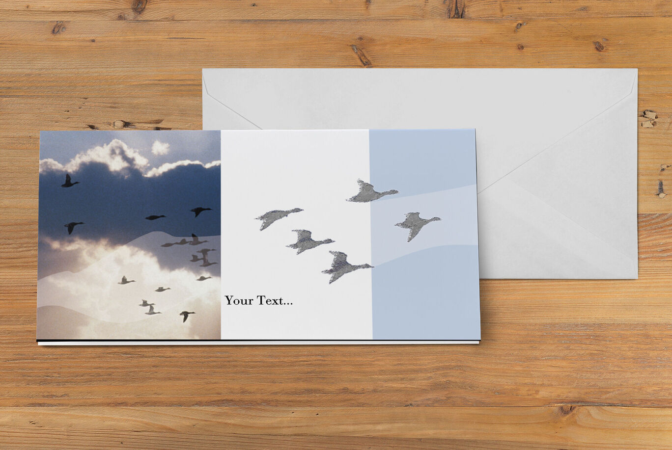 CEWE greeting cards with silver trim and bird motif.