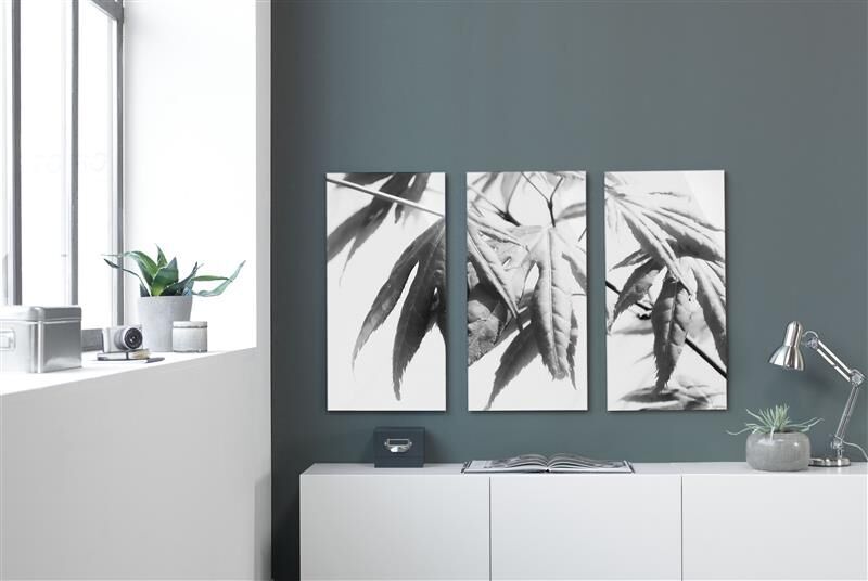 Three impressive black-and-white images of plants on a wall in a modern room.