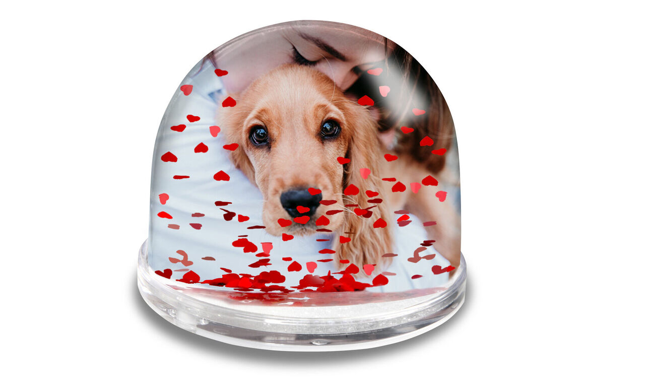 A lovingly designed snow globe with a dog and red hearts.