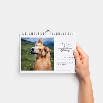 A dog on a February calendar page with a beautiful landscape in background.